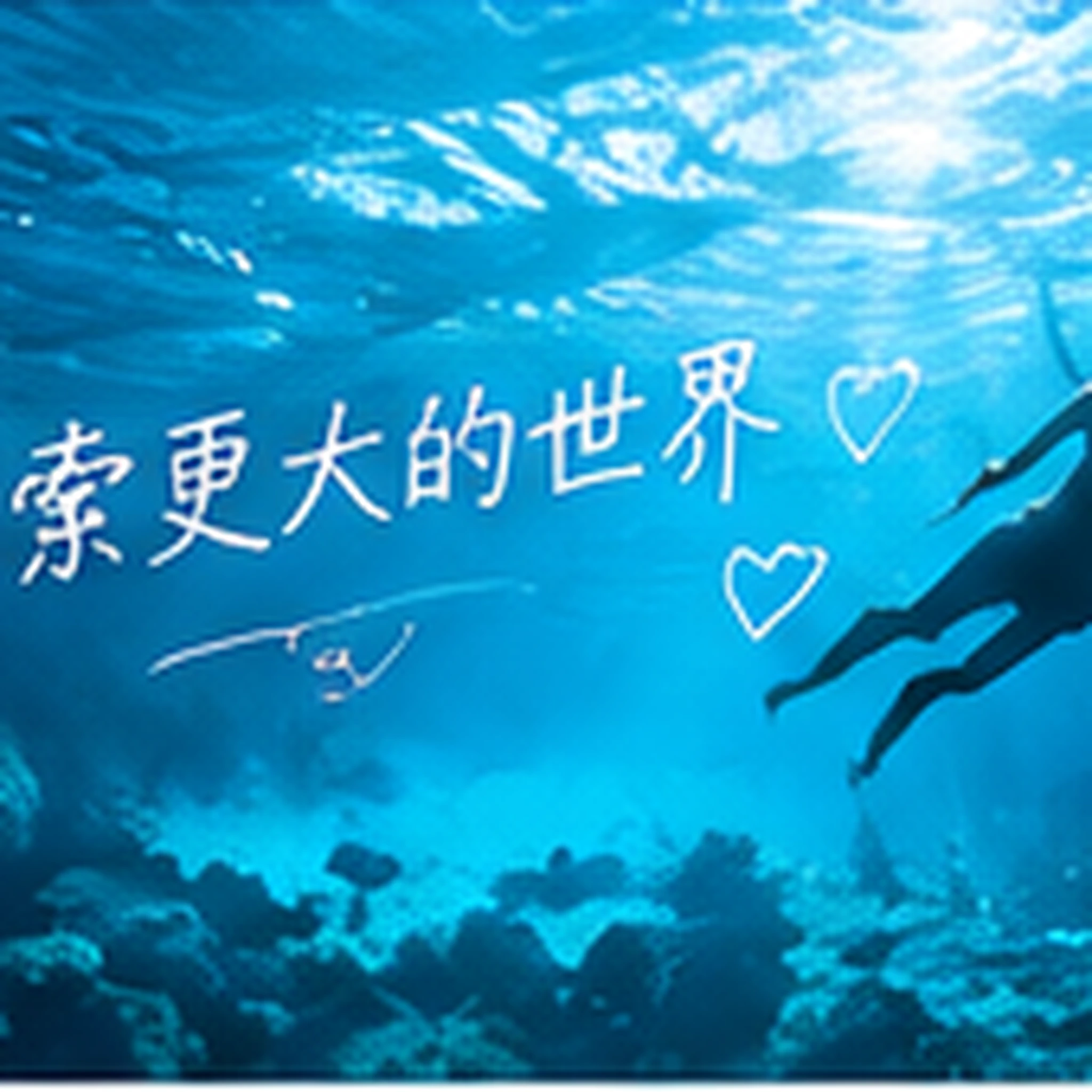 城市记录专题